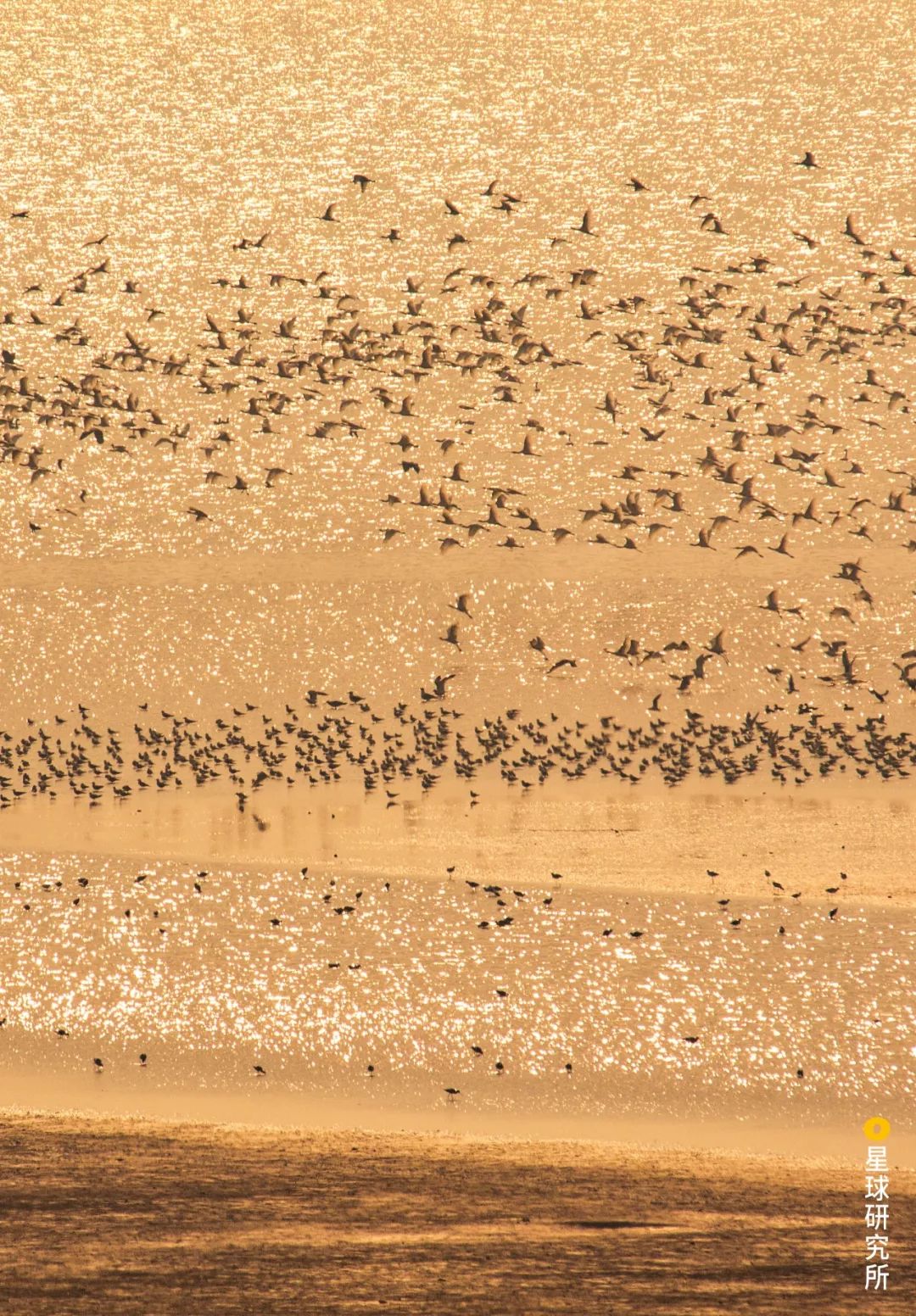 宜昌被低估的城市,湖北低估的旅游景点