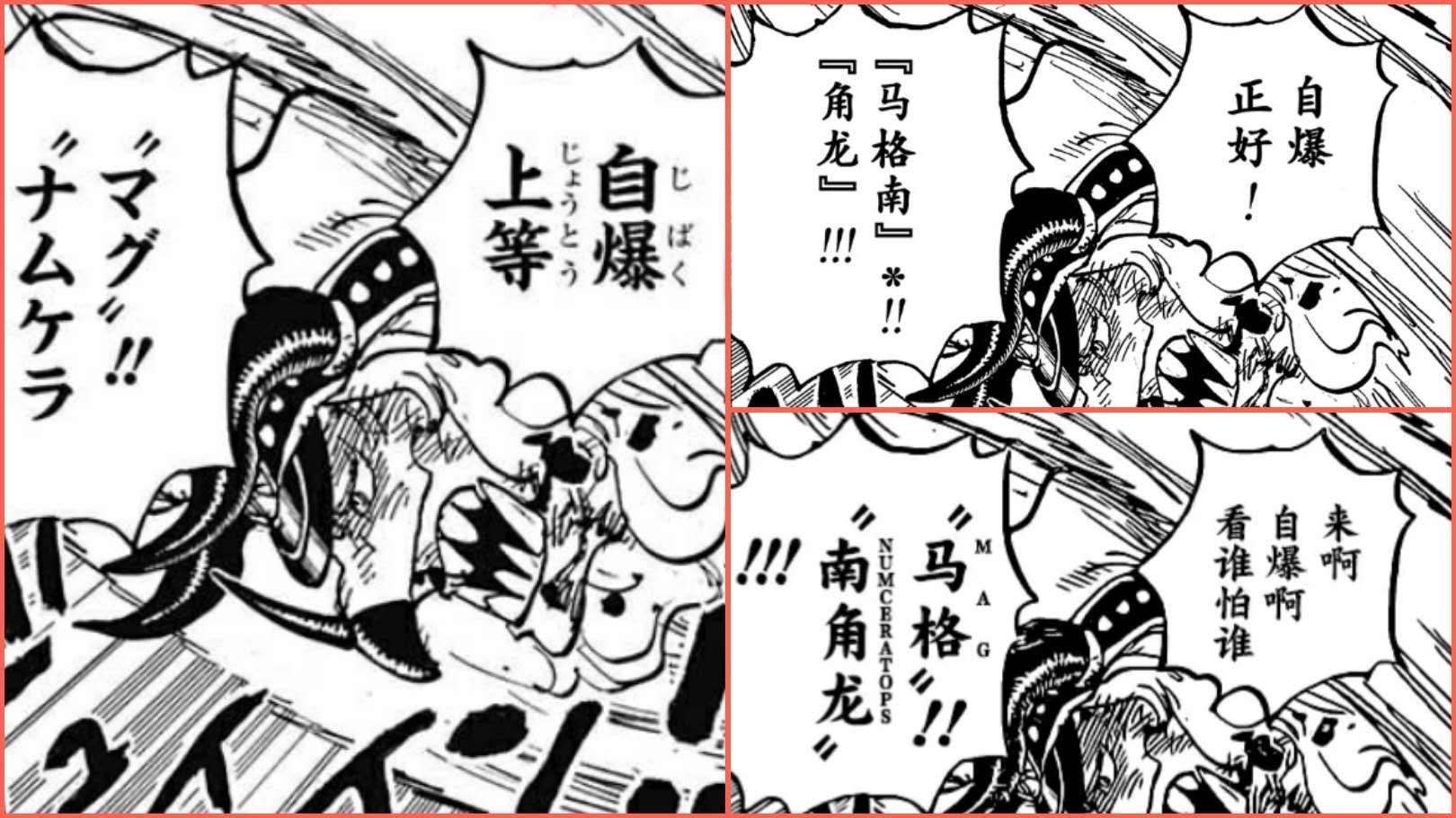 海贼王1091话龙登岛,海贼王1011话超前情报