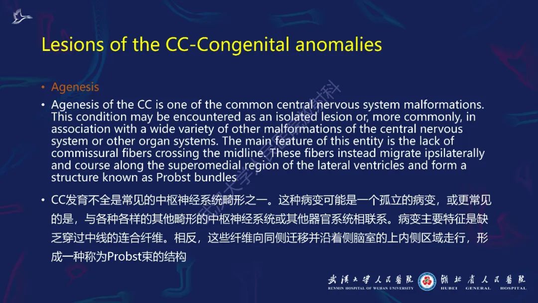 胼胝体肿瘤影像鉴别,胼胝体病变影像诊断