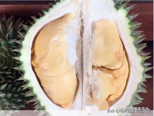 马来西亚榴莲品种大全,马来西亚d14榴莲是什么品种