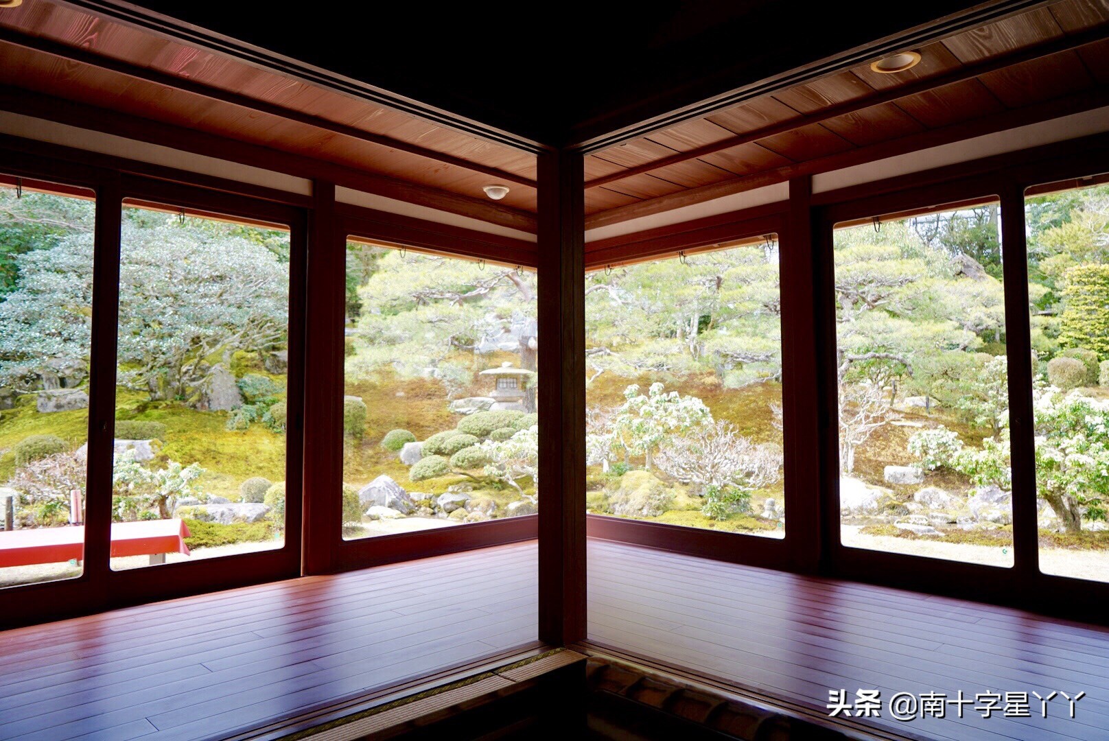 2019日本赏樱最新攻略|大津小众路线私家推荐