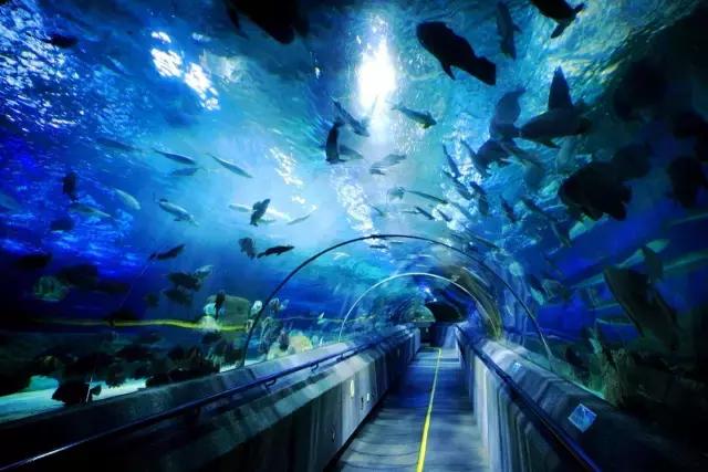 沈阳周边游4天短途旅游,沈阳周边省份游2-3天短途旅游