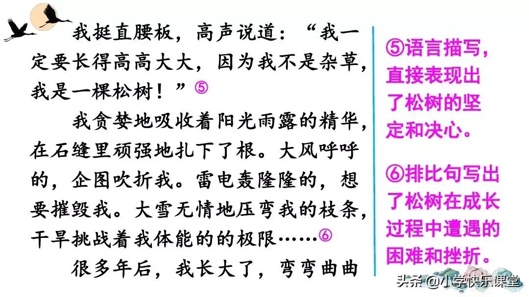 部编版六年级语文习作变形记,部编版六年级上册作文变形记教案