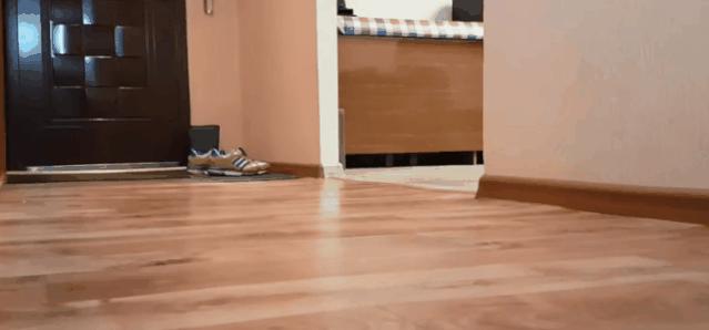 冬天宝宝皮肤粗糙颗粒状像鸡皮痒,猫咪肉垫上有个硬硬的是什么东西