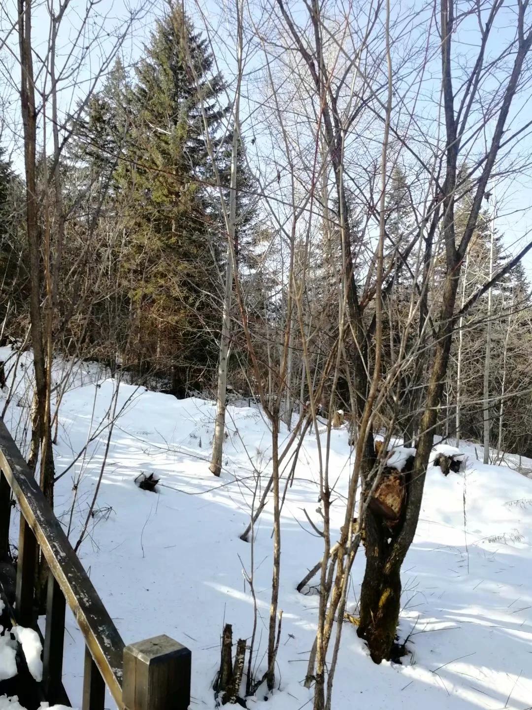 小小双峰冷凝紫气，壮美山河雪掩行踪