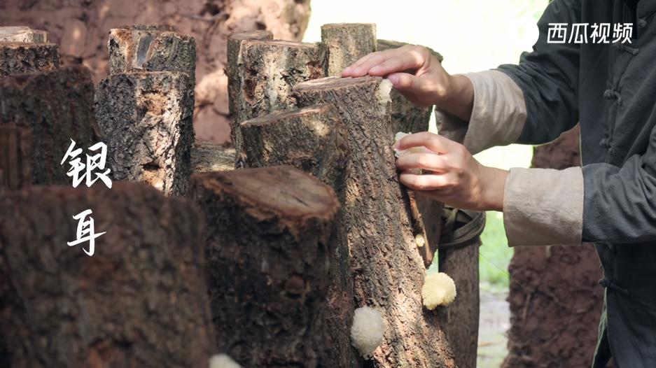 雪梨润肺止咳糖水的做法步骤图,雪梨糖水止咳做法视频教程