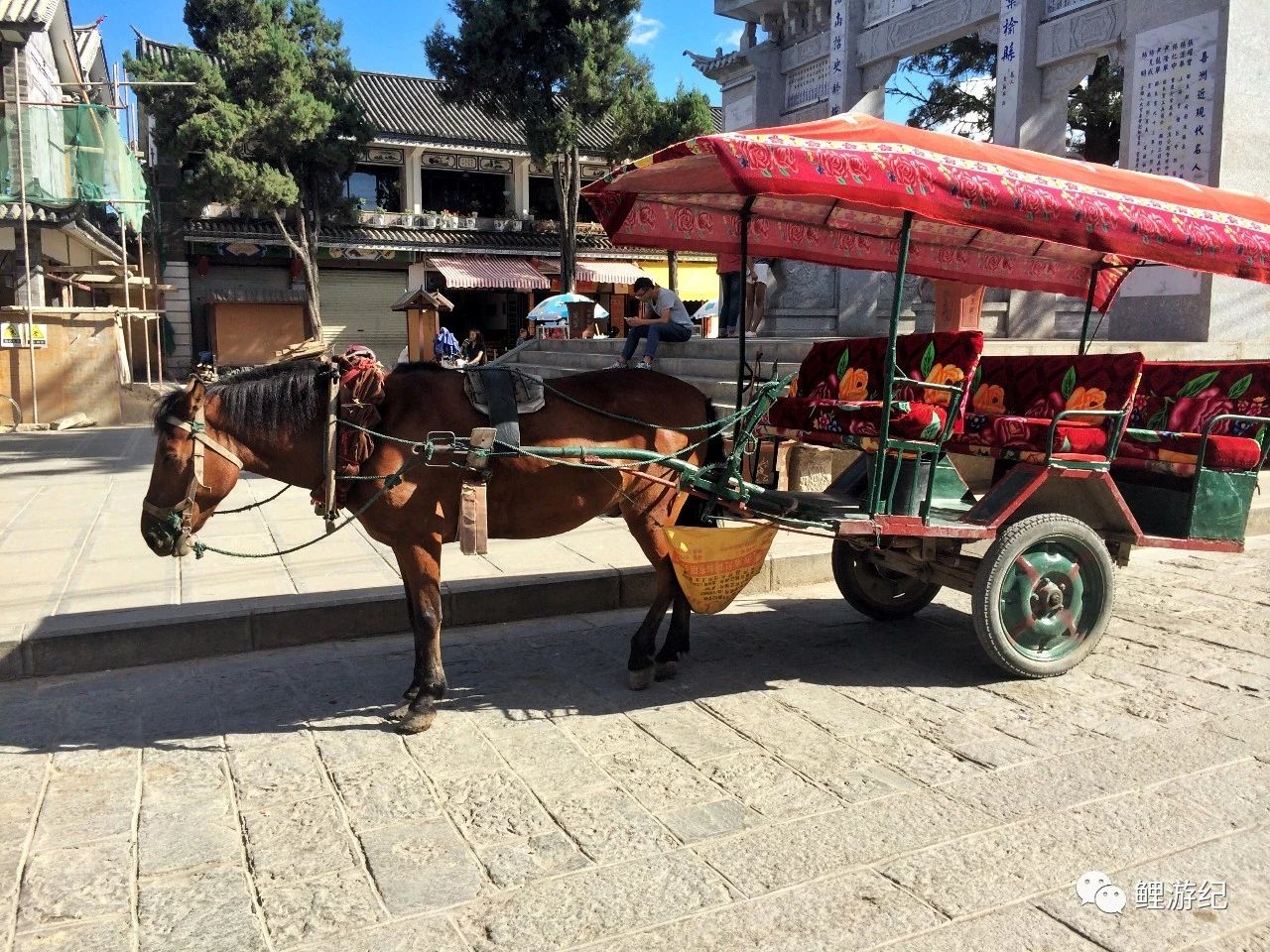 环海公路好看的图片,西南风景图片横图