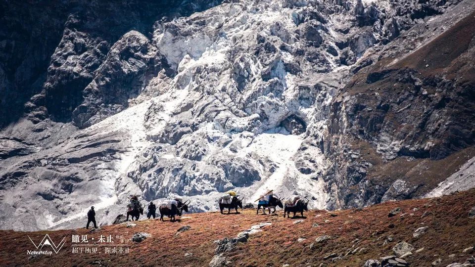 希夏邦马环线徒步8日行程,户外徒步希夏邦马峰大环线视频