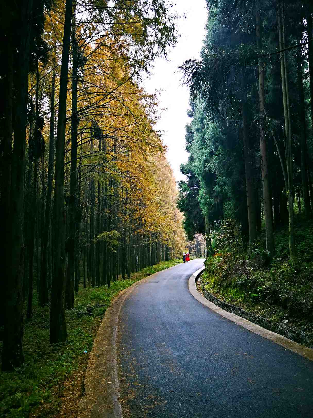 重庆人去哪里避暑最合适,重庆人适合出去避暑地方推荐
