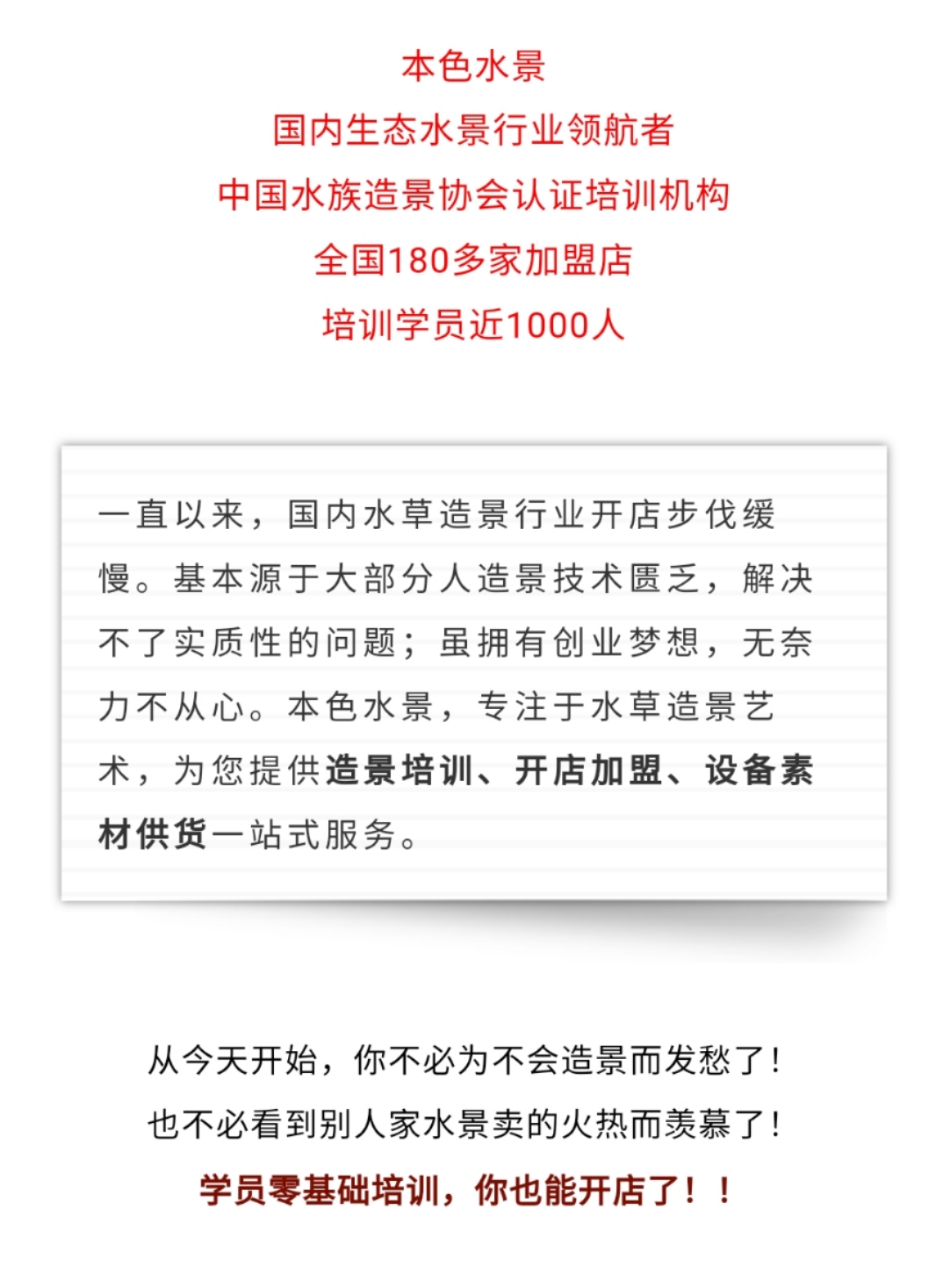 本色水景|教你认识——常见莫斯品种！水草造景学习