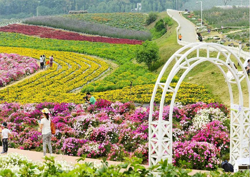 成都天府新区有什么景点,成都天府新区有哪些景点