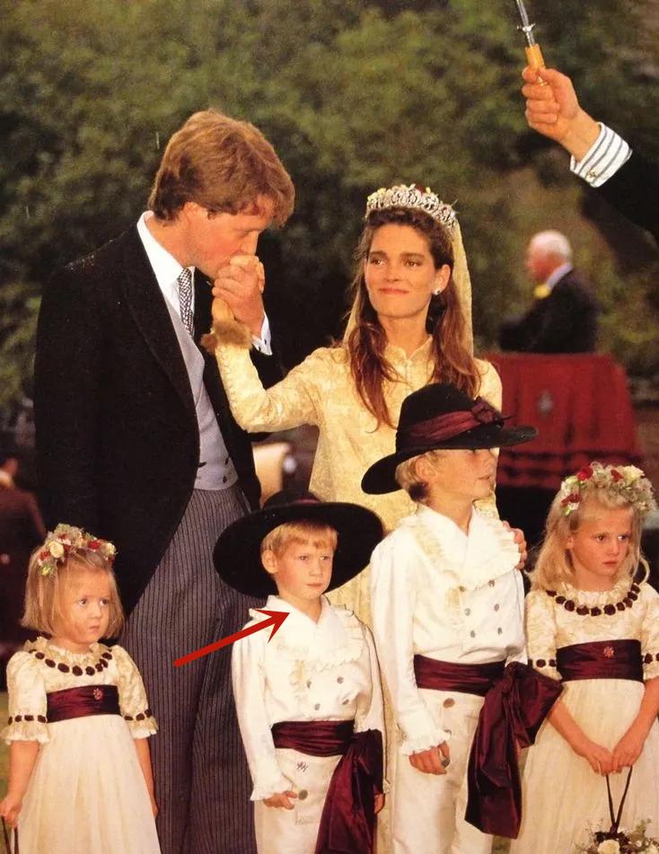 戴安娜王妃哥哥斯宾塞伯爵,戴安娜弟弟斯宾塞伯爵图片