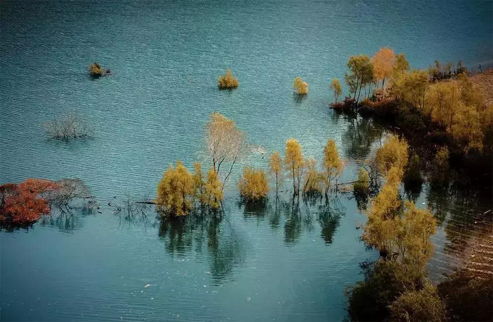 有一种努力叫靠自己视频,有一种努力叫靠自己经典语录