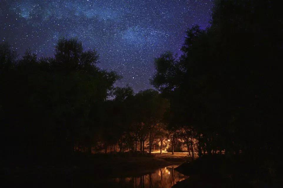 沈阳理工大学辽宁工程技术大学,沈阳理工大学专科院校