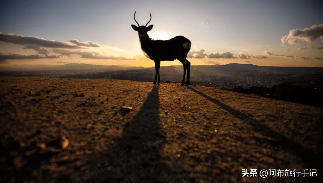 逛古寺逛神社感受日本京都的韵味,日本冷门的神社