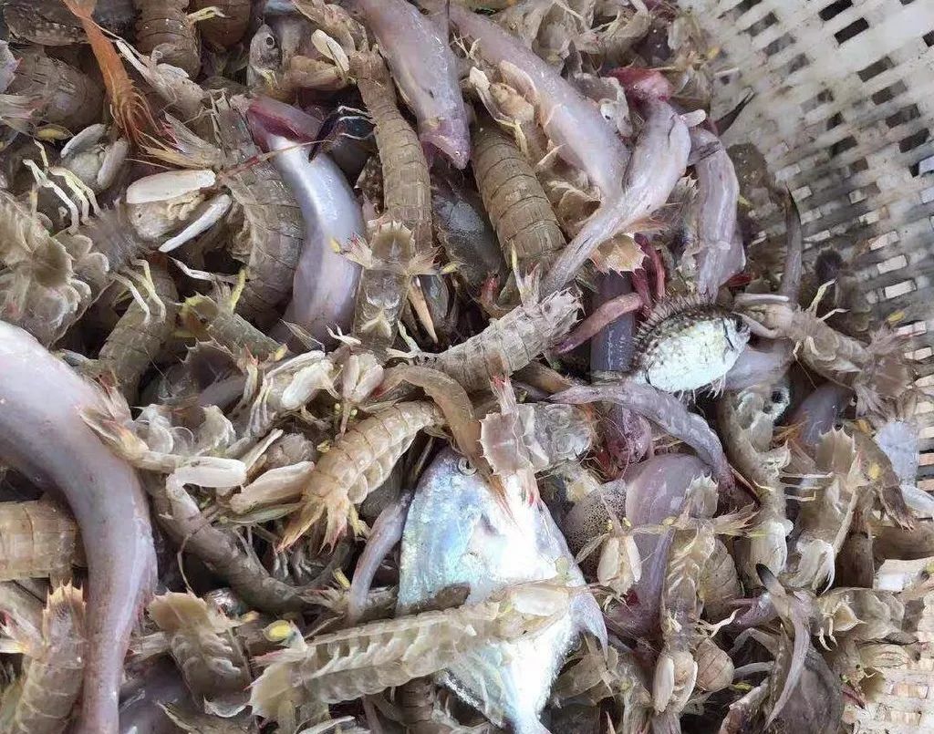 国家地理最美十大海岛,中国十大最美海岛有哪些