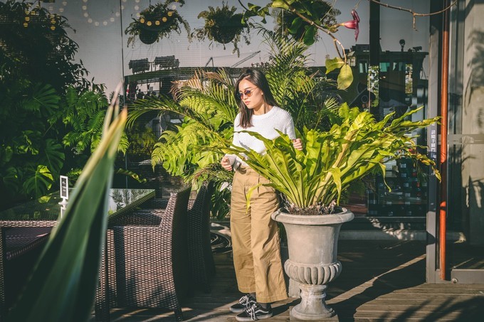 台湾自行车环岛游攻略,台湾环岛八日游最佳路线