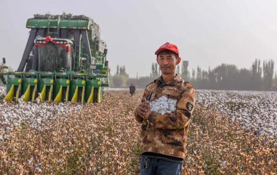 我为什么希望HM们不要怂？