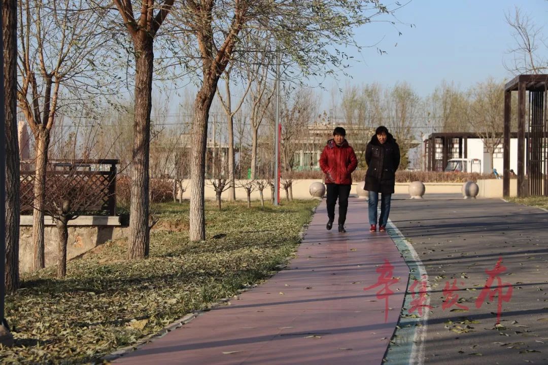 辛集市锦绣公园足球场,辛集锦绣公园建设