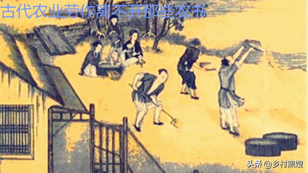 北魏末年贾思勰写的齐民要术总结,齐民要术的作者