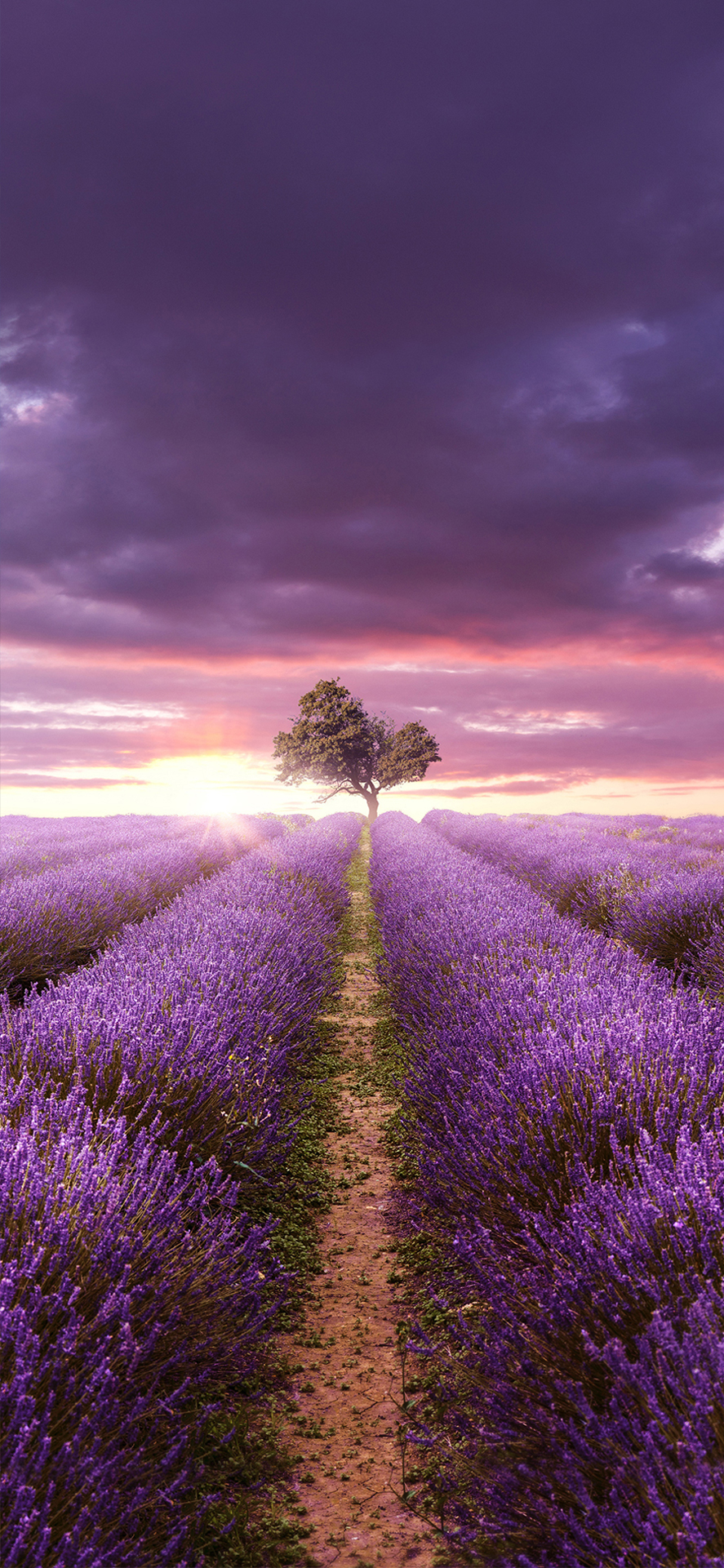 iphone13promax壁纸高清风景,ipad壁纸超清4k全面屏治愈系风景