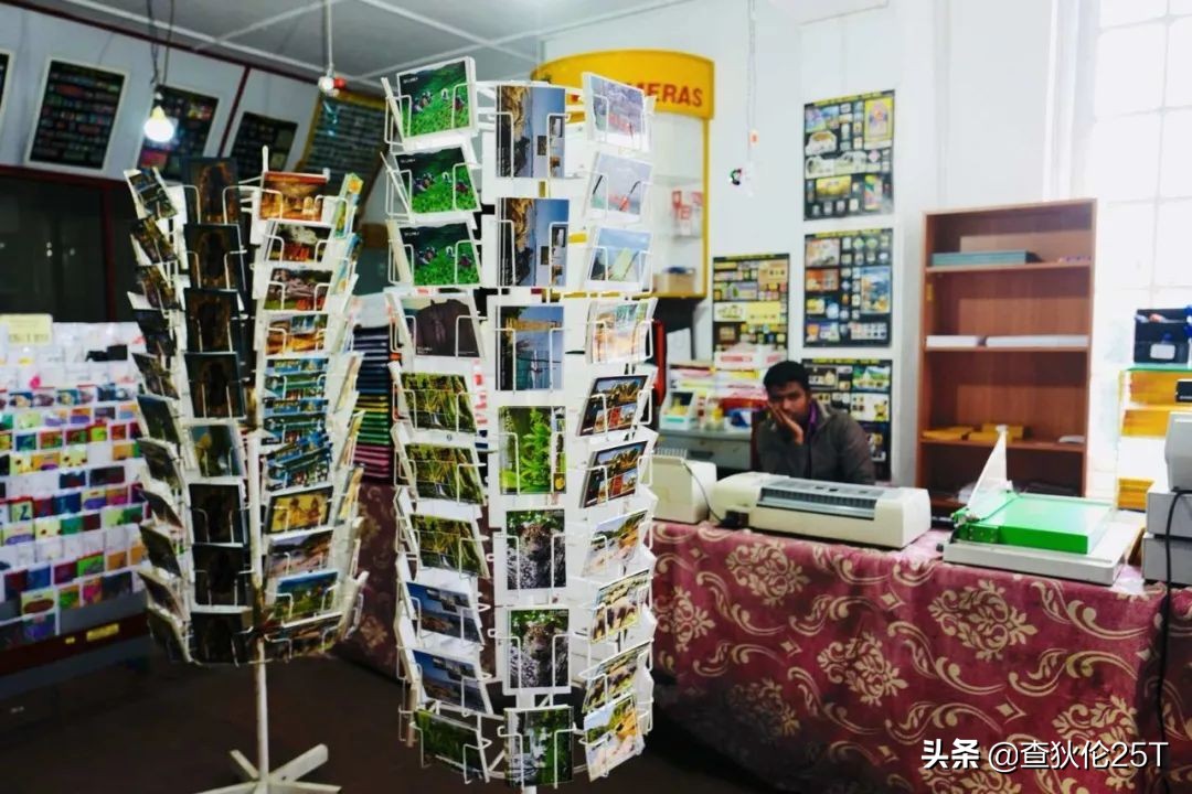 斯里兰卡努沃埃利耶小镇,斯里兰卡努沃勒埃利耶茶厂