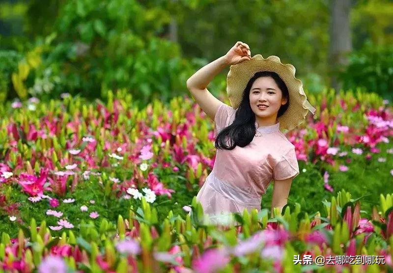 38抢从化宝趣玫瑰世界1大1小票赏春赏花赏美景不负*光春**不负卿