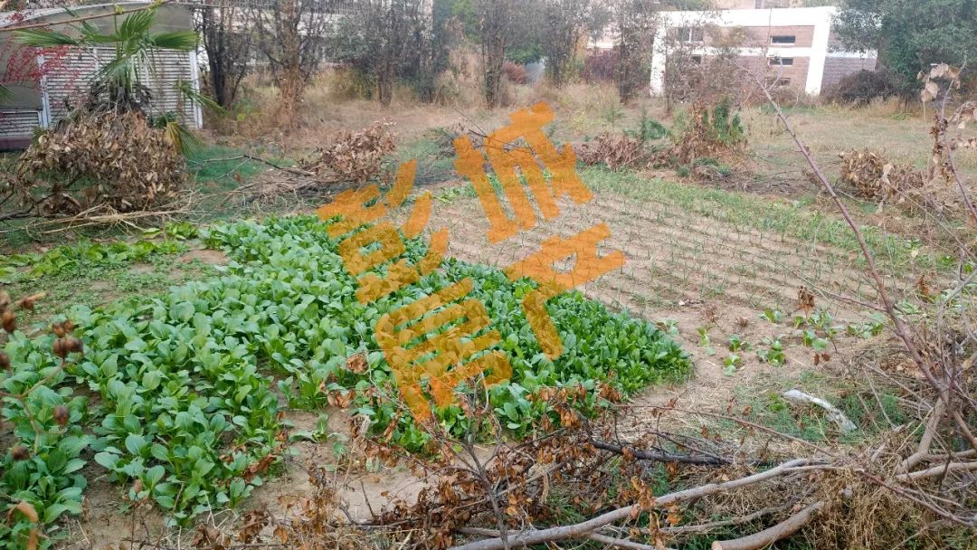 徐州市拆迁安置房的价格,徐州开发区拆迁安置上房通知