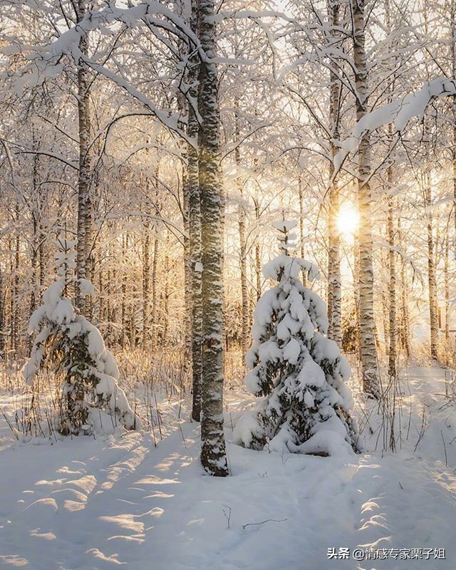 你老婆是胡搅蛮缠,你是老实窝囊