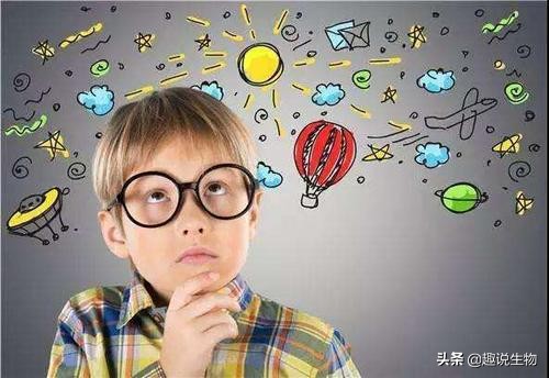 时间长了什么事情都记不住,为什么越想记住一件事总是记不住