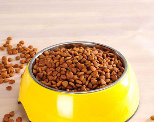 泰迪狗牙结石口臭怎么办,泰迪狗口臭是什么原因引起的