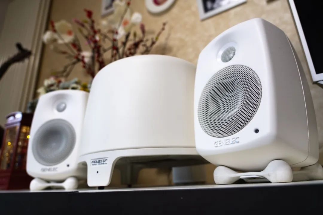 宅家的陪伴-带解码的真力全新F和G亮测评