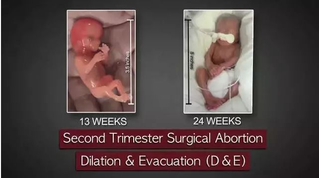 男用避孕药通过试验,网友:叫刘阳打针,半藏森林你不用吃药了