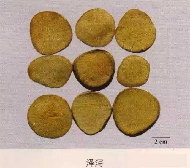 中药材图片大全大图带药名,200多味中药材图谱带图