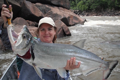 世界上最毒的鱼食人鱼只能排第五,世界上十大最危险的鱼