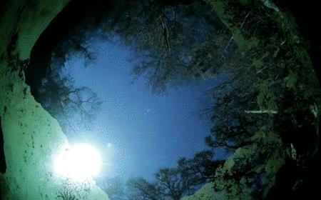 本以为是个恶心的臭水塘，没想到水下居然美到炸裂