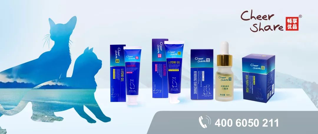 「畅享养宠」猫耳朵热得厉害，是发高烧了吗？