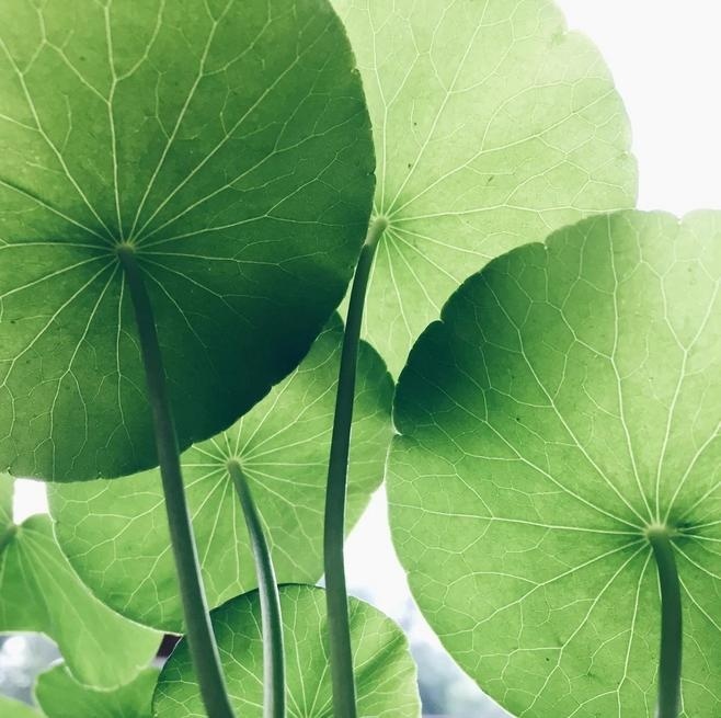 旅游好风景古诗词,关于旅游风景的诗句唯美