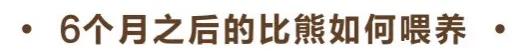 比熊犬怎么养？比熊犬吃什么？养比熊有哪些注意事项？?