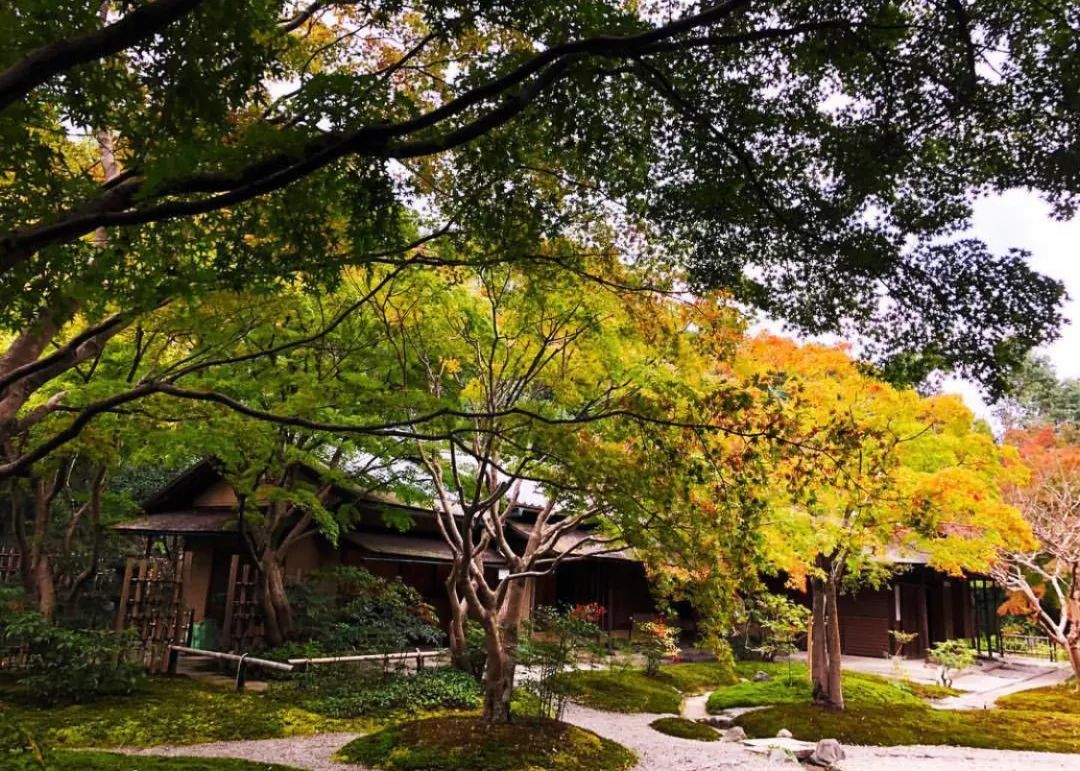 大阪攻略自由行,看惯了千篇一律的高楼大厦