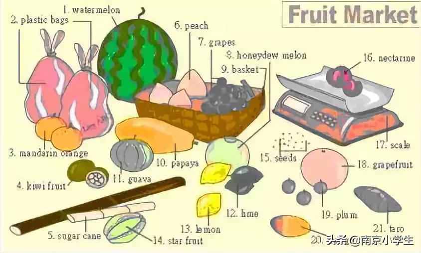 生活日常必考英语单词图片,场景记忆单词大全
