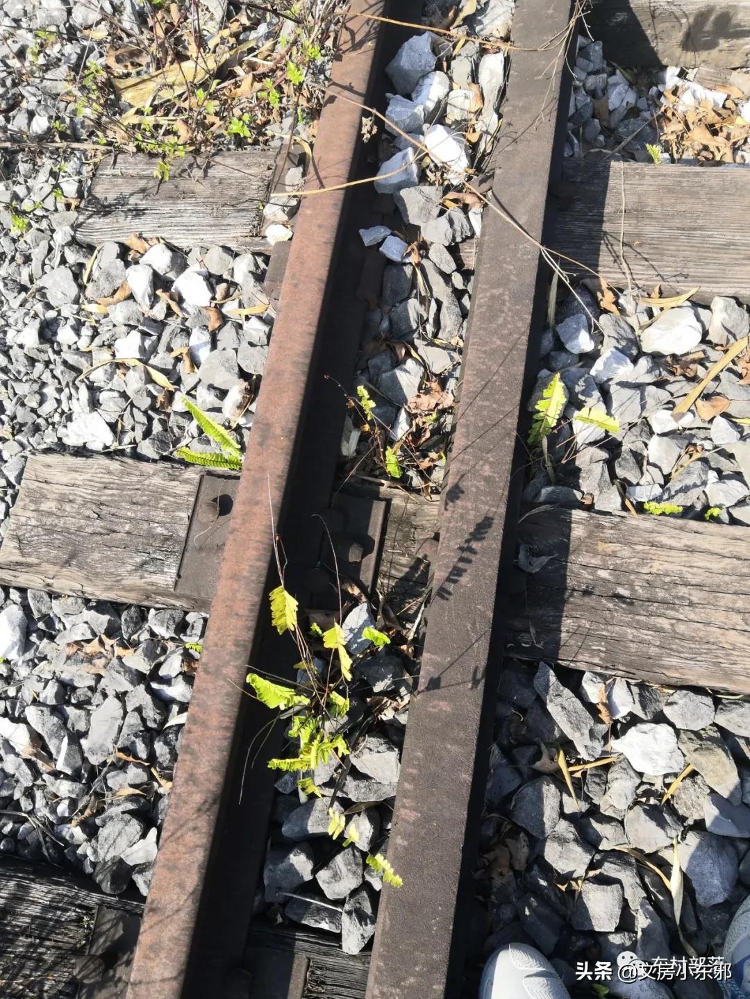 广西河池照片,广西河池图片大全