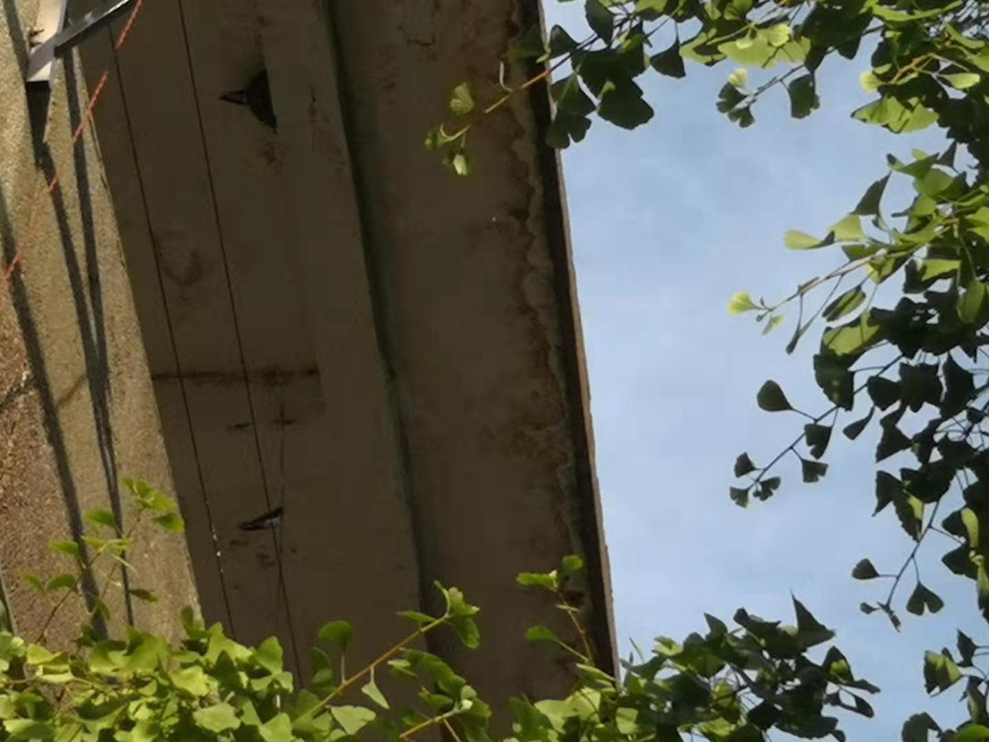 邳州影视传媒有限公司,邳州的影视公司