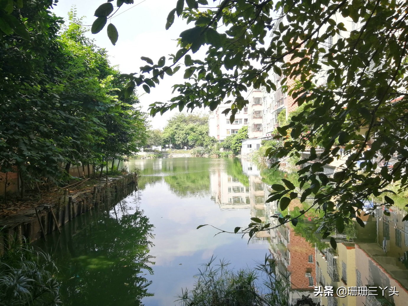 广州“最后”的鱼虾交易墟市，在城东10里外的古村内，闲置约30年