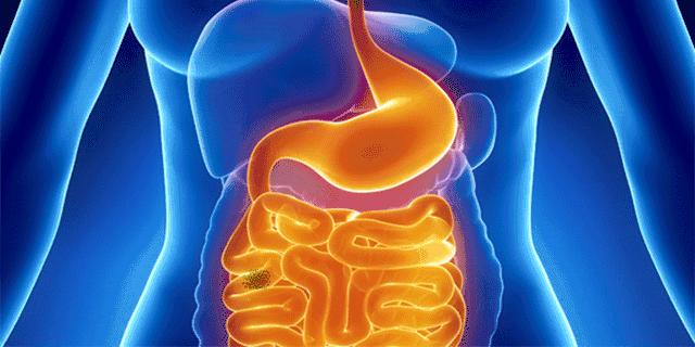 真正能把牙齿刷白的牙膏测评,进口去牙渍牙垢牙黄的牙膏第一名