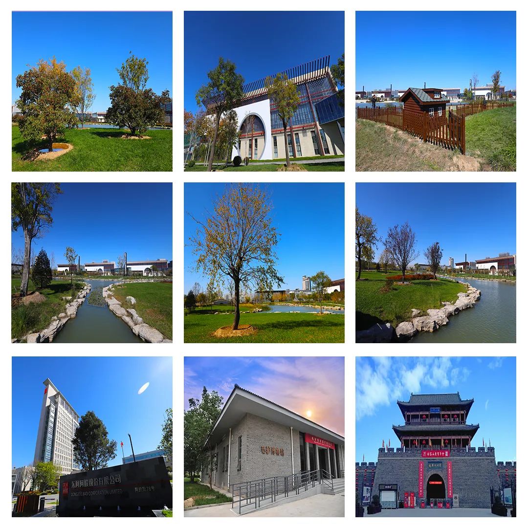 东阿阿胶旅游全攻略,聊城阿胶城旅游攻略