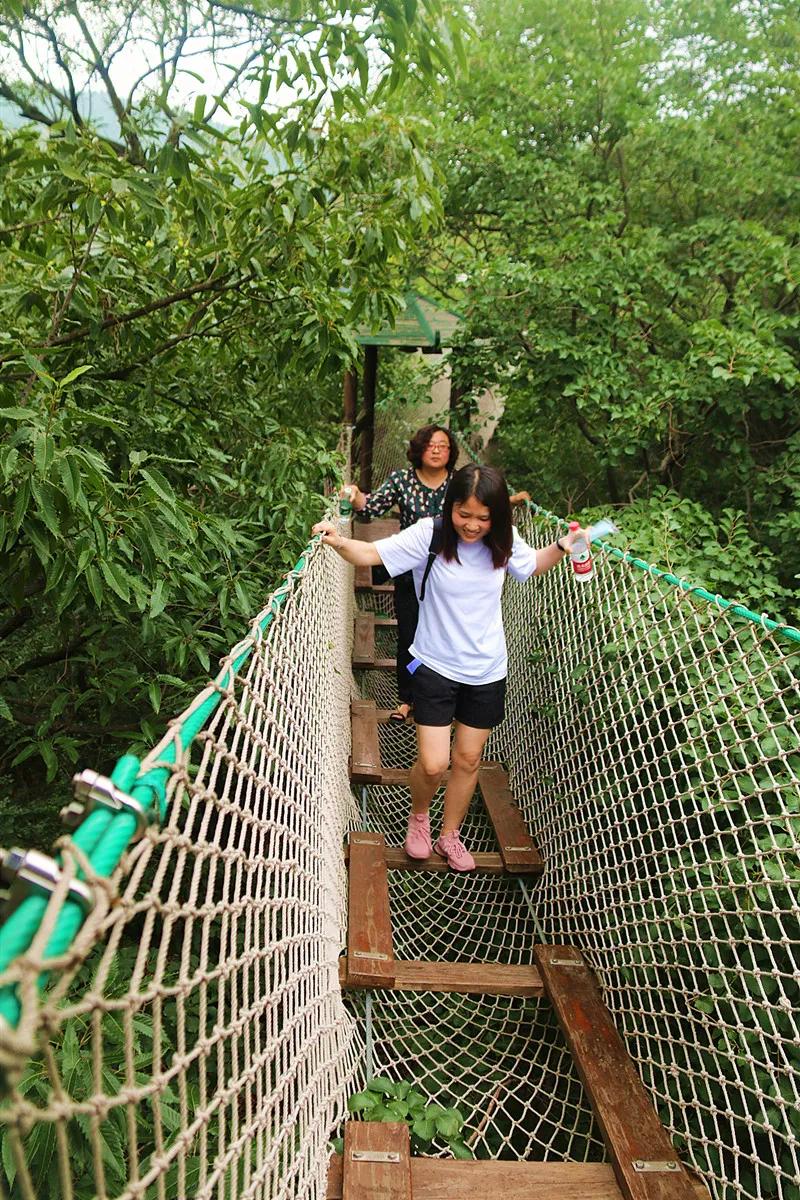 抱犊崮门票半价政策,中考生福利重庆