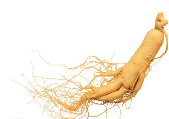 百草之王吉林人参,百草之王视频