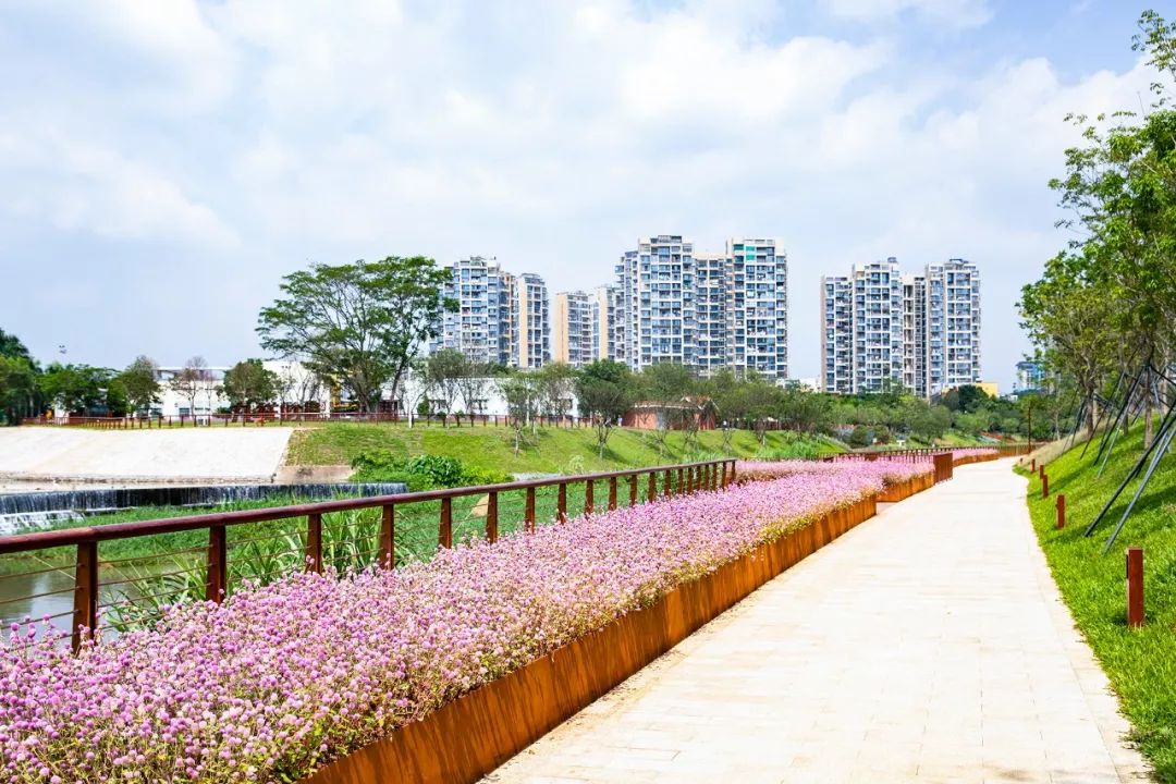 盼了1年！南山新地标“塞纳河”惊艳露面