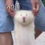 秋冬保湿补水必备,秋冬季节不能少了滋润保湿的步骤